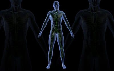 The Lymphatic System Explained